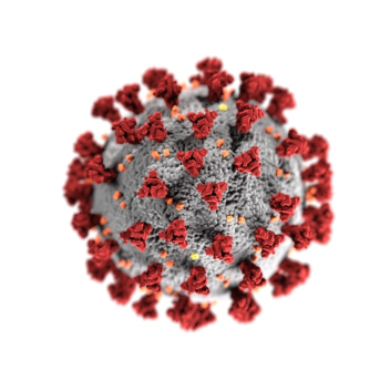 germs